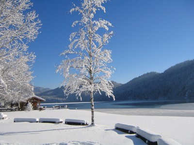 Weisensee i Winter